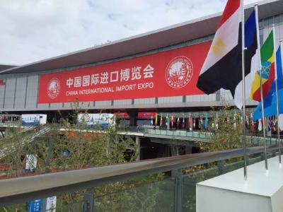 高水平“上海服务”助力进博会成功举办