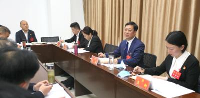 王永胡金云参加党代表分团讨论