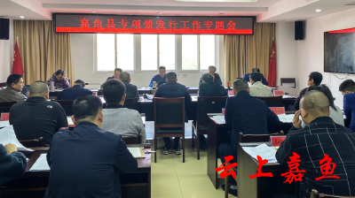 我县召开专项债发行工作专题会议