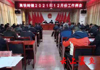 高铁岭镇组织召开2021年12月份工作例会