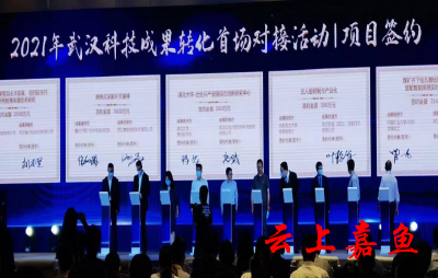 指导知识产权运用助力优化营商环境