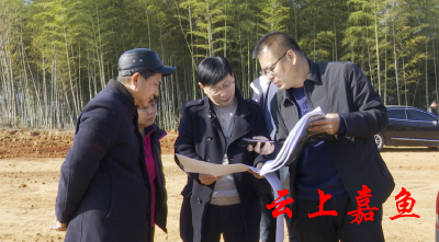 县领导调研督办白云山阿洛亚项目