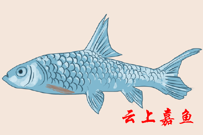 怎样判断一条鱼的年龄？