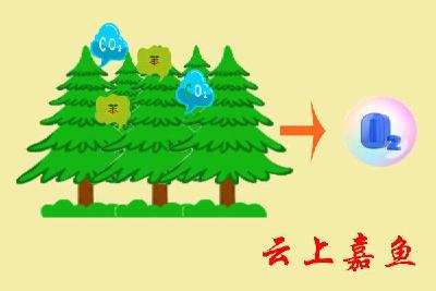 什么是生物净化？ 