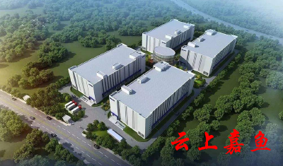 嘉鱼建立“1+2+9+N”机制 全流程管理服务项目建设