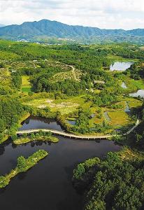 福建长汀推进水土流失治理成效显著——人与青山两不负