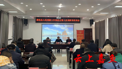 县司法局组织召开县人民调解工作推进会暨人民调解员培训会