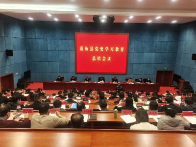 我县召开党史学习教育总结会议