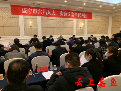 市领导参加咸宁市六届人大一次会议嘉鱼代表团分团审议