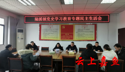 陆溪镇召开党史学习教育专题民主生活会 