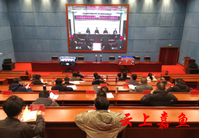 我县组织收听收看全市低温雨雪冰冻灾害天气防范应对工作视频会议