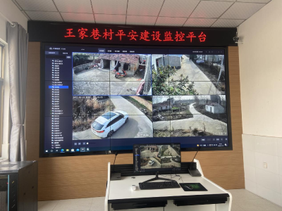 簰洲湾镇“平安乡村”村级监控平台显成效