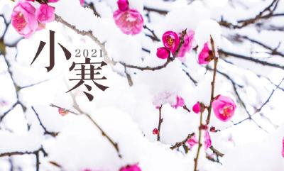 今天17时14分！正式迎来 