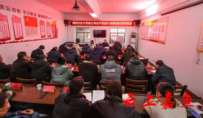 南街社区大党委召开党建引领疫情防控推进会