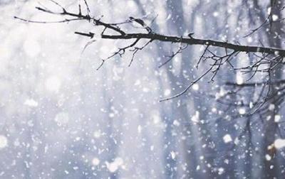 大范围雨雪天气过程今日进入最强盛时段 7省区部分地区有大到暴雪 