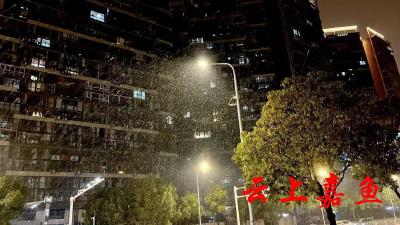 雪下了一整夜！湖北多地发布暴雪预警