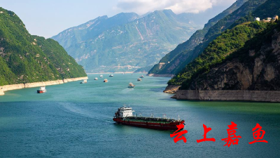 虎年春节全省接待游客2596万人次 旅游总收入超122亿元 