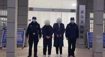 偷狗盗狗也违法，簰洲两男子被抓