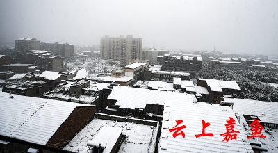 我县迎来虎年首场降雪