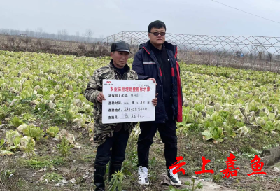 鱼岳镇积极开展雪灾农业保险理赔