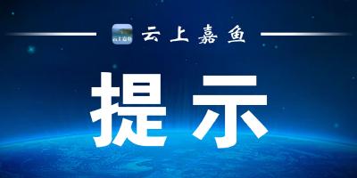 关于防范“伪金交所”违规经营活动的风险提示