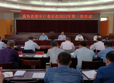 王永在嘉鱼县委审计委员会2022年第一次会议上强调：要着力提升审计监督效能、创新审计方式方法、扛起审计工作使命担当，开创嘉鱼县审计工作新局面