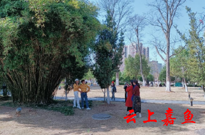 阳春三月美如画 我县欢度第112个“三八”妇女节
