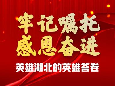 牢记嘱托、感恩奋进！这是湖北的英雄答卷