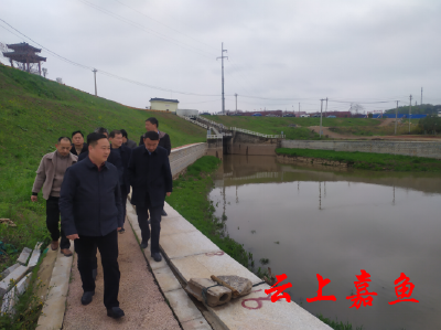 县领导调研督办陆码河河长制工作