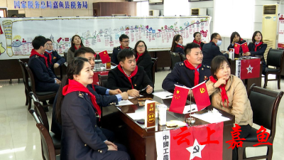 嘉鱼税务政企携手 巩固拓展党史学习教育