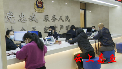 铿锵玫瑰在窗口绽放芳华