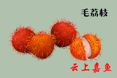 山荔枝？毛荔枝？说说那些不一样的“荔枝”