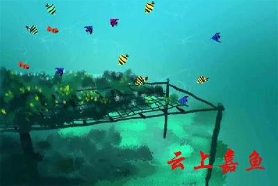 你知道海洋牧场吗？