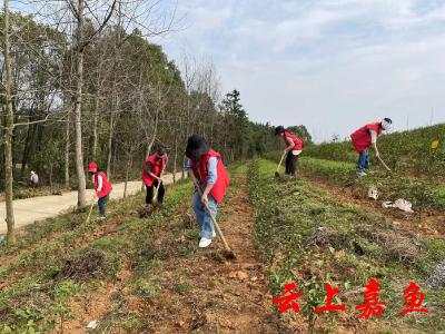 【文明嘉鱼】县烟草局驻大牛山村工作队用心服务村民