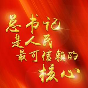 总书记是人民最可信赖的核心——疫情防控、疫后重振亲历者感怀