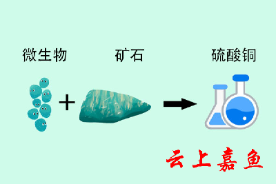 自然探秘——哑泉