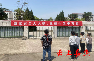 【文明嘉鱼】新街镇中心小学开展全民国家安全教育日活动