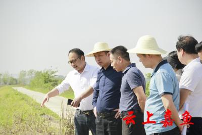 新街镇开展汛前拉练检查