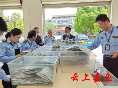 市农业综合执法支队来我县调研检查农资市场情况