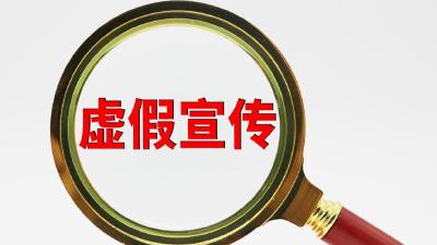 教育部：严厉打击虚假宣传、代学替考等违法违规行为