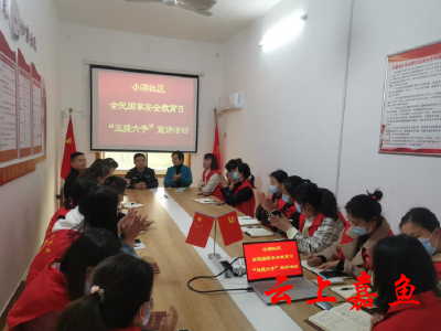 【文明嘉鱼】小湖社区开展全民国家安全教育日宣讲活动