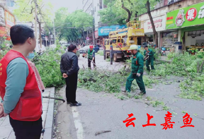 【文明嘉鱼】西街社区：砍危树 解民忧