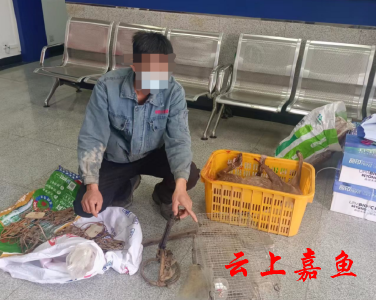 县公安局破获一起非法捕猎贩卖野生动物案