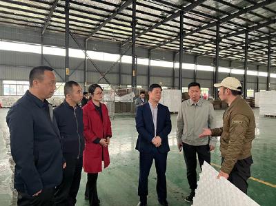 王永调研我县项目建设时强调：凝心聚力抓项目建设 努力在建设“五高新嘉鱼”的新赛道上奋勇争先