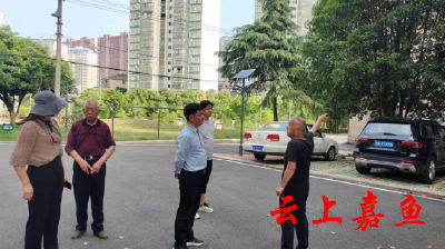 县领导调研南街社区红色物业工作