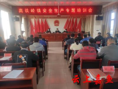 高铁岭镇召开安全生产专题培训会