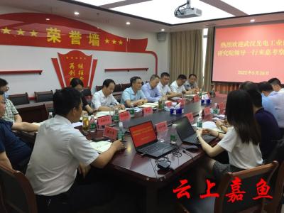 武汉光电工业技术研究院来我县考察洽谈
