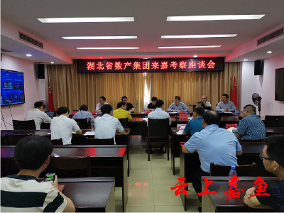 王永与湖北省数字产业发展集团高层进行座谈交流