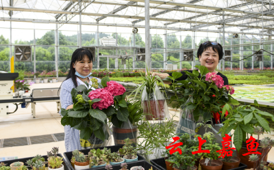 买盆鲜花带回家