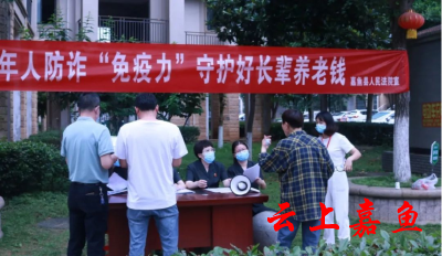 守住“养老钱” 幸福享晚年——嘉鱼法院走进社区开展防范养老诈骗宣传活动